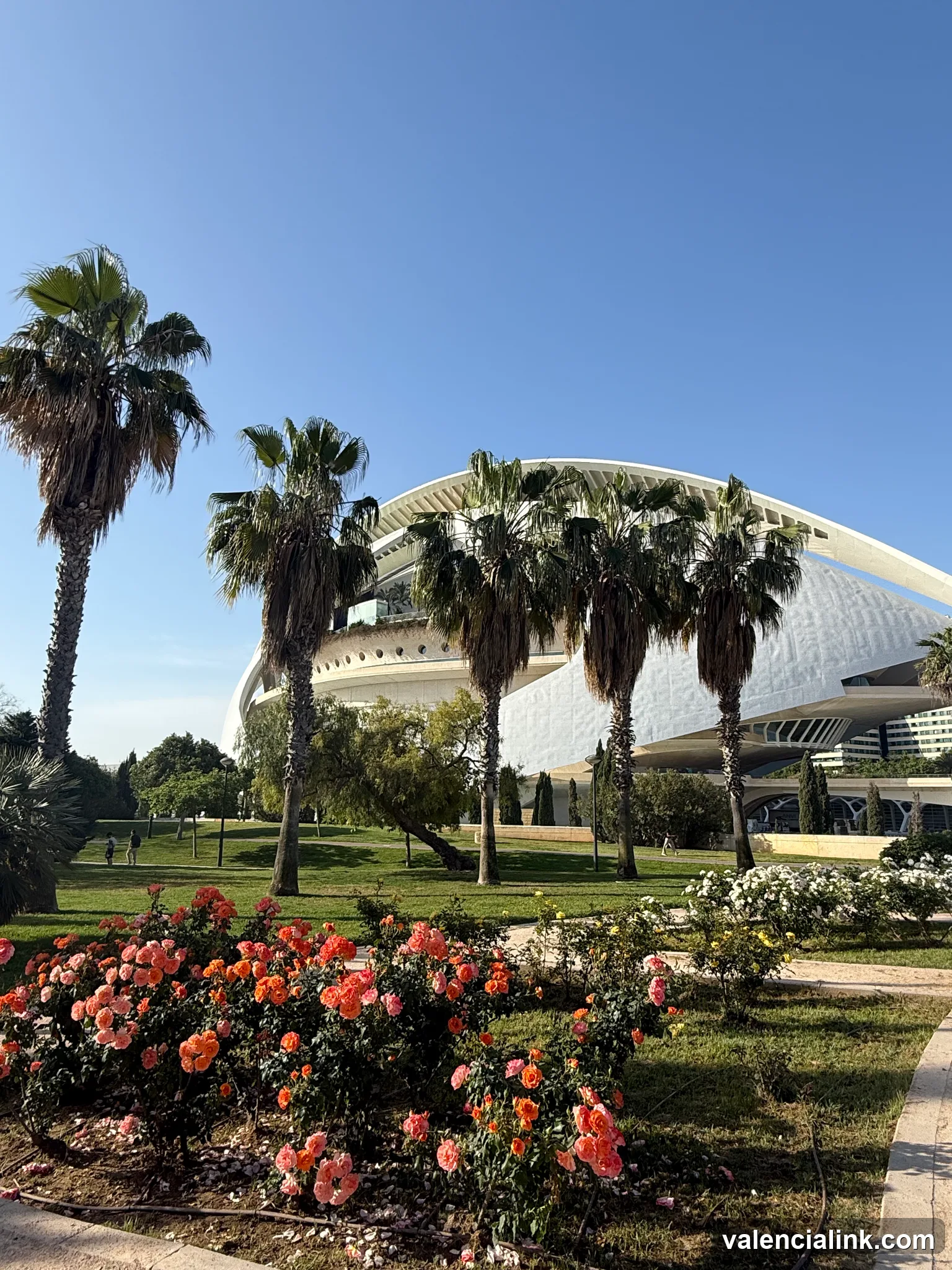 Modern architecture with palm trees and blooming flowers in a garden setting.