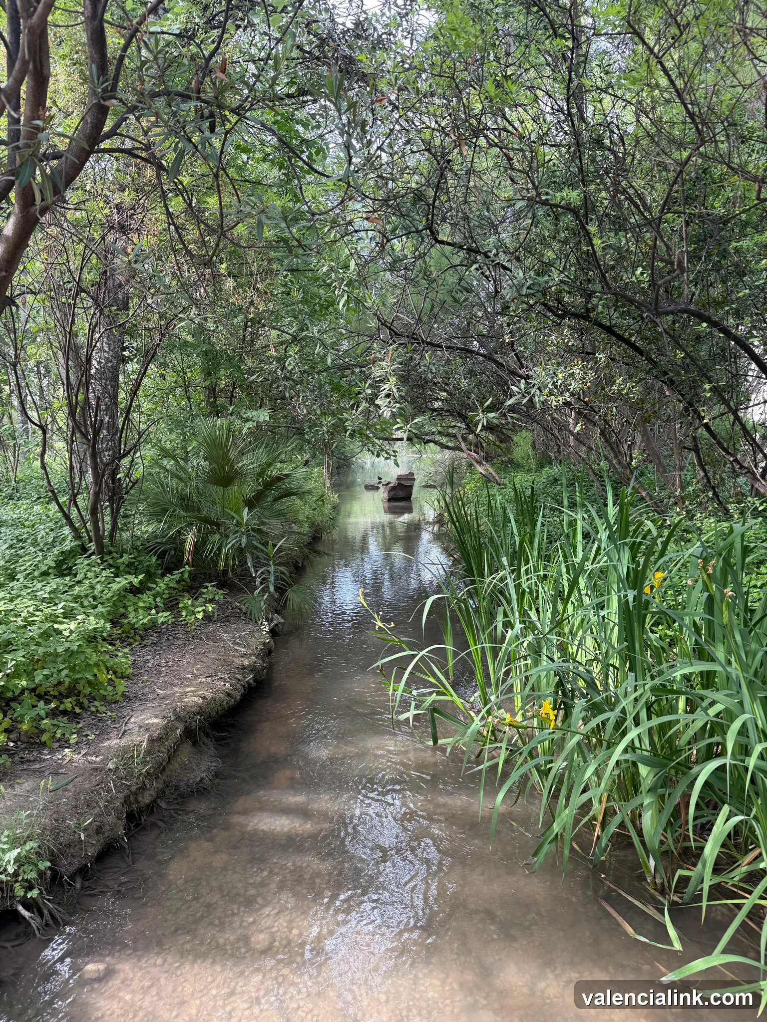 Narrow canal with green vegetation and trees on both sides.
