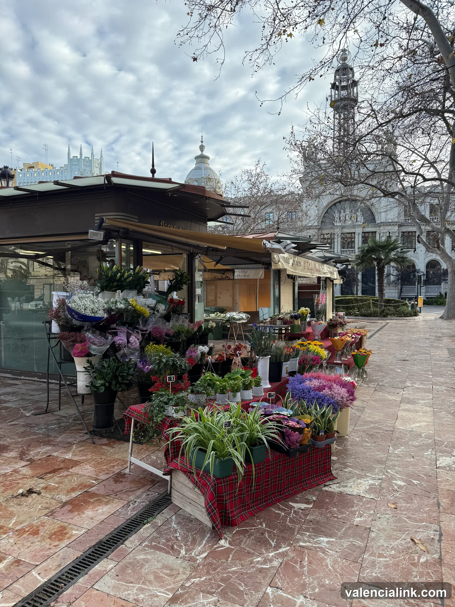 A flower stall with potted plants and flowers on a tiled sidewalk in front of a building with a dome and a clock tower.