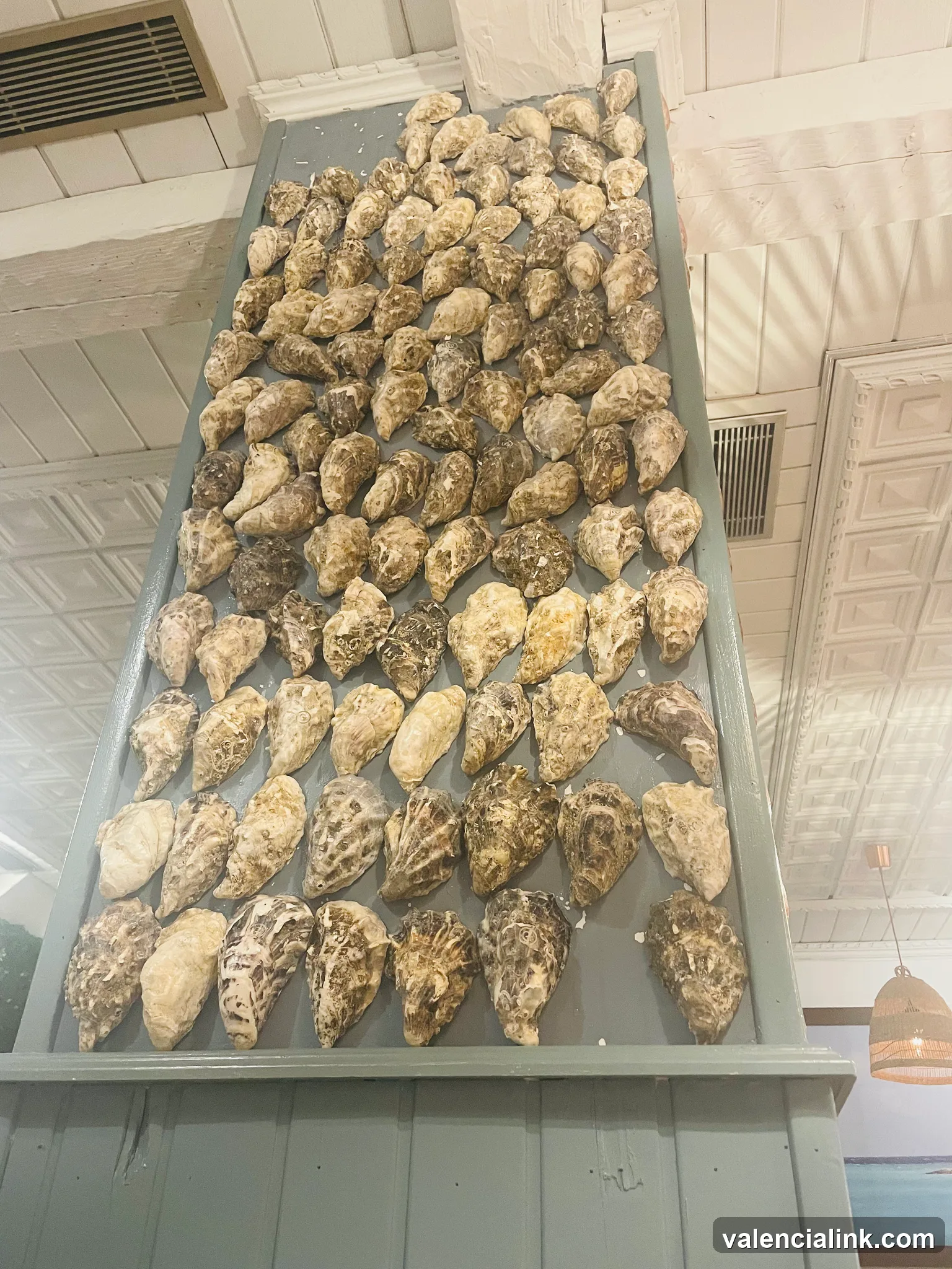 Coquilles d'huîtres sur une surface métallique dans une pièce carrelée.