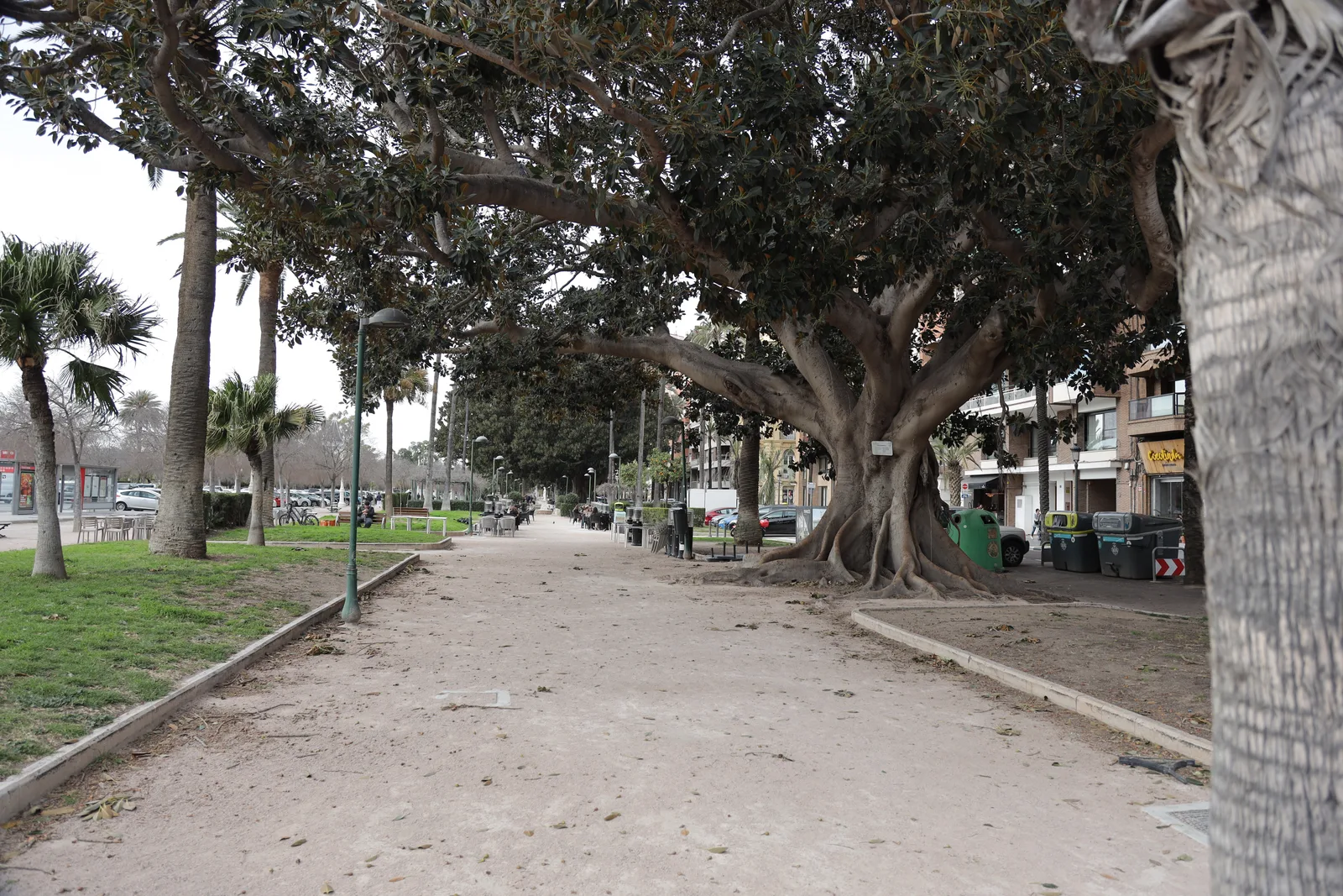 A pathway lined with trees and greenery in a park setting.