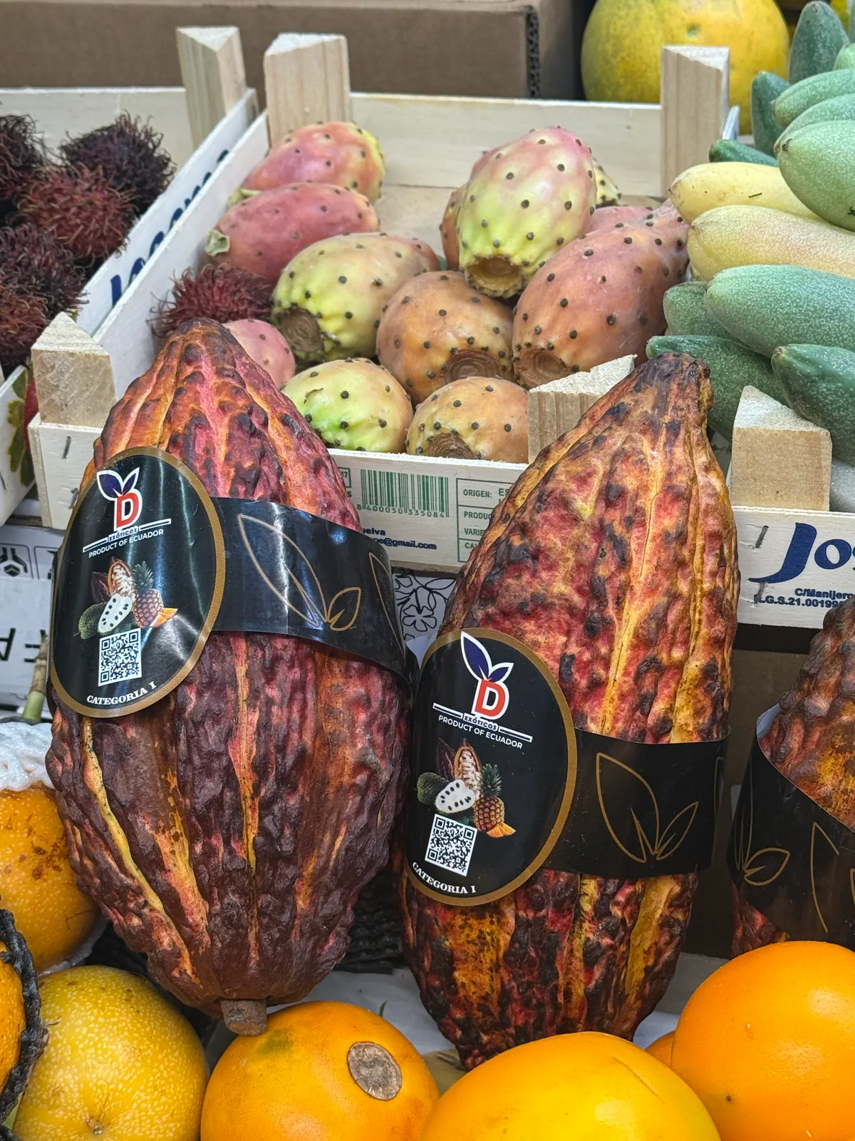 Close-up of cacao pods and tropical fruits in a market display.
