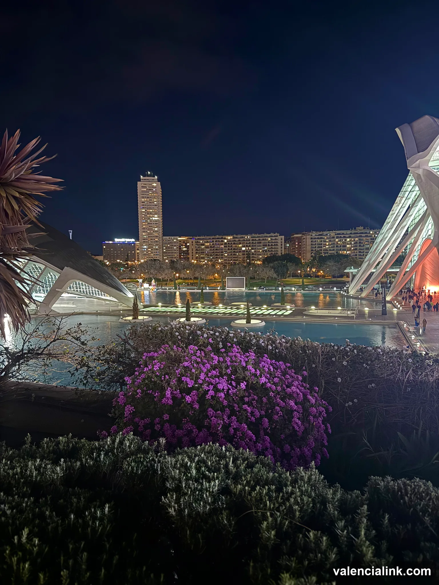 A modern cityscape at night with illuminated buildings and a garden featuring purple flowers.